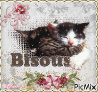 BISOUS CHATS 动画 GIF