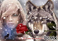 la rose et le loup - GIF animé gratuit