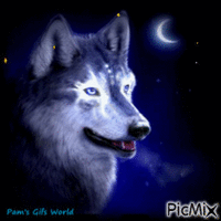 Blue Moon - GIF animate gratis