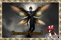 basset hound - Бесплатный анимированный гифка