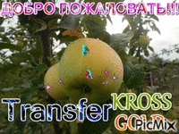 Трансферкросс - GIF animé gratuit