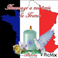 Hommage a nos amis la France ♥♥♥ Gif Animado