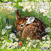 Have a Great Day. Deer in a field of daisies - GIF animasi gratis