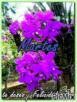 martes - Безплатен анимиран GIF
