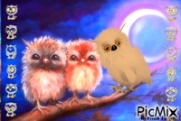 OWL 动画 GIF