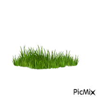 rabbit - lapin - GIF animado gratis