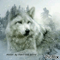 Snow Wolf - Gratis geanimeerde GIF