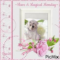 Have A Magical Monday - Free animated GIF