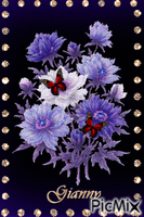 lila y dorado - Darmowy animowany GIF