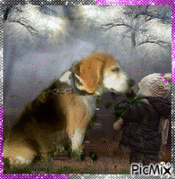 Hommage à Tomy "Mon Beagle" анимирани ГИФ