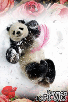 Panda - Бесплатни анимирани ГИФ