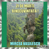 Mircea Vasilescu - Δωρεάν κινούμενο GIF