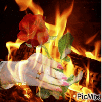 tűz Animated GIF