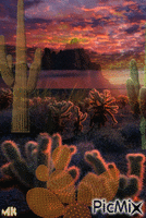 Tierra de cactus animovaný GIF