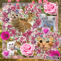 The Cat That Meowed In Roses animowany gif