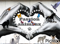 passion animaux - Gratis animerad GIF