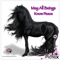 May All Beings know Peace GIF animado