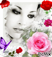 belles roses - Darmowy animowany GIF