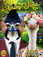 Spring Time geanimeerde GIF