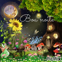 Fairy Boa Noite