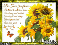 Be The Sunflower - GIF animé gratuit