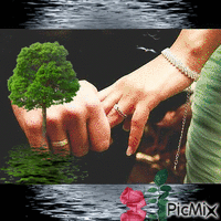 роророа - Darmowy animowany GIF