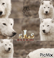 els sr de los lobos - GIF animado grátis