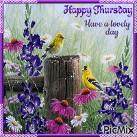 Happy Thursday. Have a lovely day. Birds, flowers - Free animated GIF