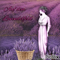 The Lavendel Field анимиран GIF