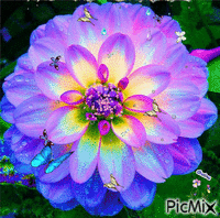 Pretty Flower-butterfly - GIF animé gratuit