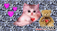 Kitten Love GIF แบบเคลื่อนไหว
