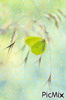Borboleta amarela - Darmowy animowany GIF