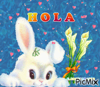 hola Animated GIF