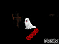 love chien - 免费动画 GIF