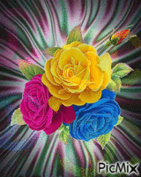 roses multicolores animovaný GIF