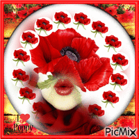 I love poppies animovaný GIF