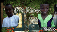 boss - GIF animado gratis