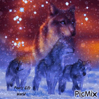Wolf Pack Animated GIF