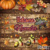 Welcome november - Gratis animeret GIF