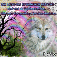 Spruch-Wolf - Free animated GIF