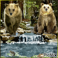 Have a nice day. Bear fishes fish