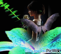 Anjo do Amor - Darmowy animowany GIF