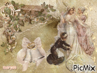 wedding day Animated GIF