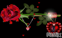 roze - Bezmaksas animēts GIF