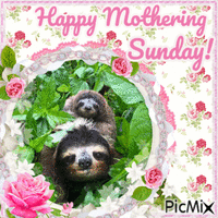 Mothering Sunday Sloths - GIF animé gratuit