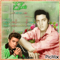 Concours :  Elvis - Tons verts et roses