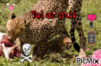guepard - GIF animado gratis