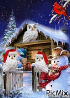 christmas owl animowany gif