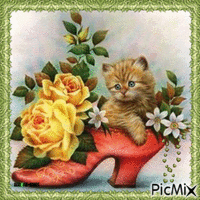 Cats-flowers-shoes animovaný GIF