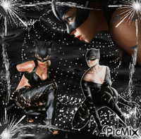 concours catwoman - GIF animate gratis